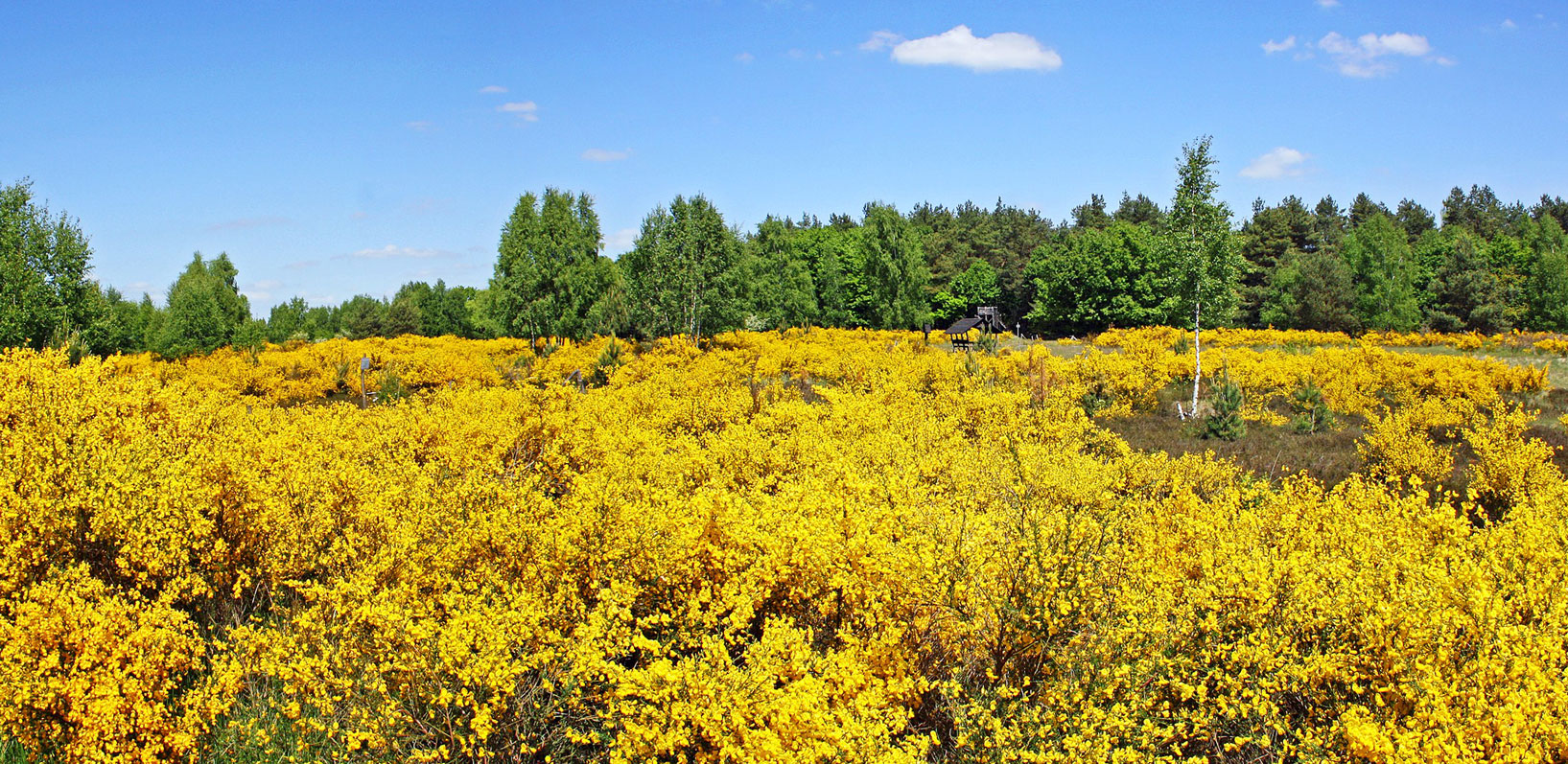 Regionalparks Regionalparks