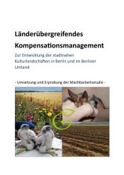 Deckblatt_Endbericht_Umsetzung_Komp
